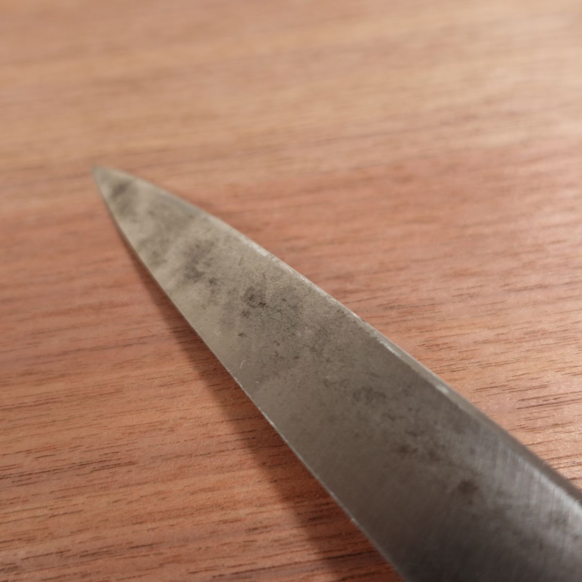 Kaneso Yanagiba Knife, Sharpened, Water Buffalo Handle, Sashimi Knife, 210mm