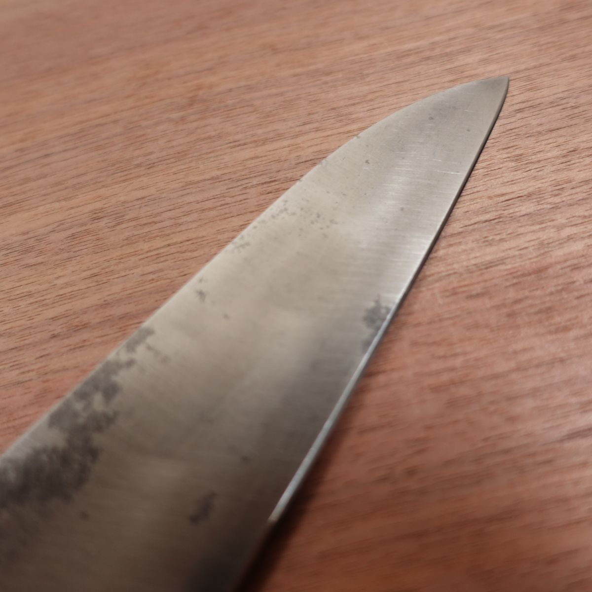 Tadanaga Chef's Knife, Sharpened, Carbon Steel, Japanese Steel, All-Purpose Knife, 300mm