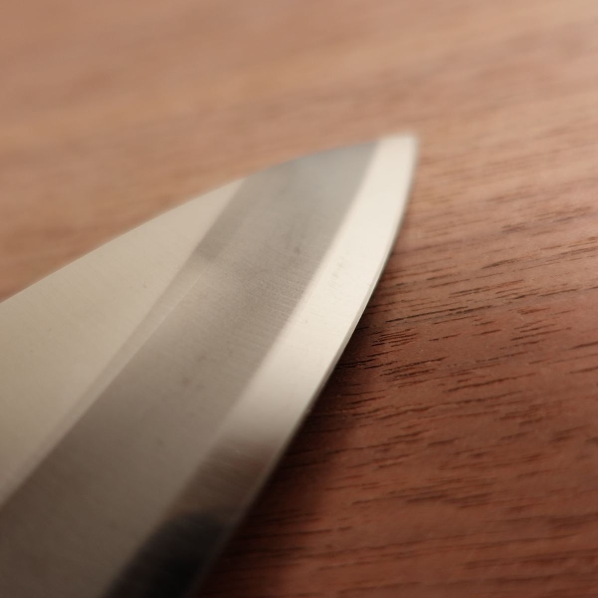 Tojiro Pro Ajikiri Knife, Sharpened, Ko-Deba, Stainless Steel, Mirror-Polished Edge, Ajikiri, Nearly Unused Stored Item, Single Bevel, 120mm