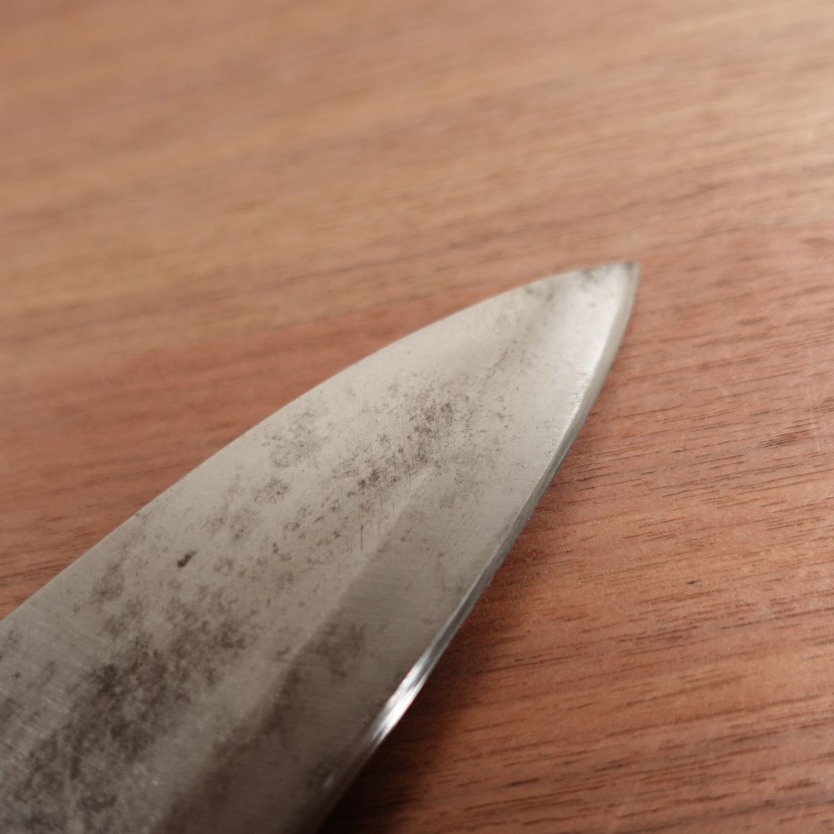 Chiyo Deba Knife, Sharpened, Hand-Forged, Carbon Steel, Single Bevel, 150mm