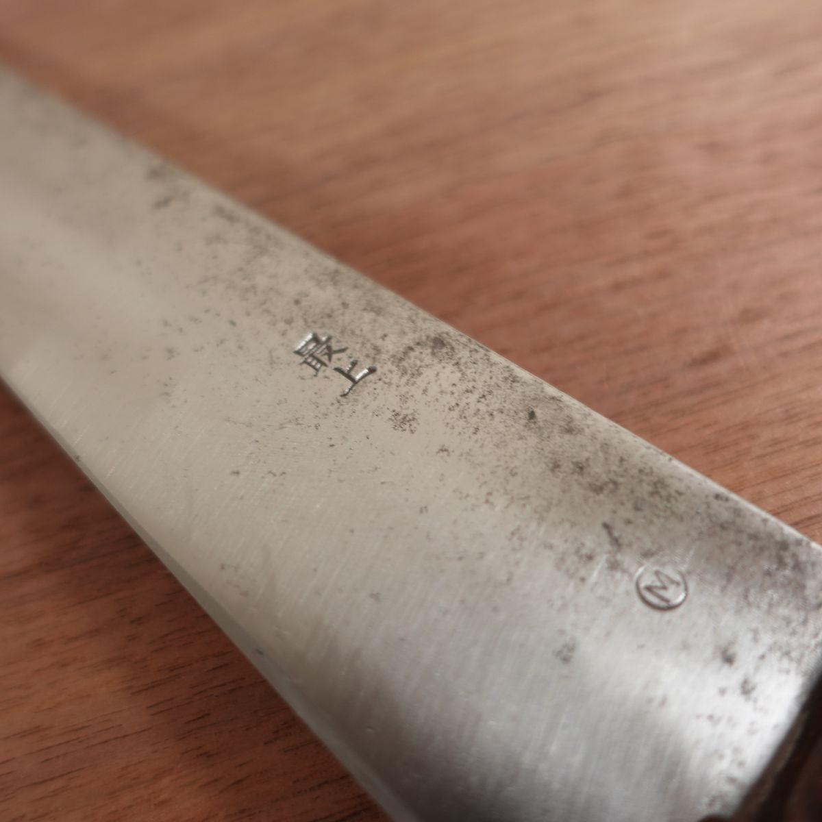 Masamoto Gyuto Slight Single Bevel Chef's Knife Carbon Steel 245mm